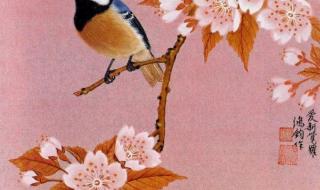 中国工笔花鸟画