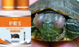 乌龟白眼病治疗